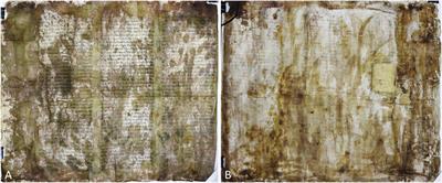 Application of Spectroscopic and Hyperspectral Imaging Techniques for Rapid and Nondestructive Investigation of Jewish Ritual Parchment